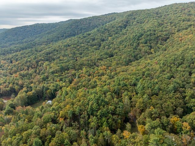 Lot 1 Chief Whitetails Road, Ellijay, GA 30540