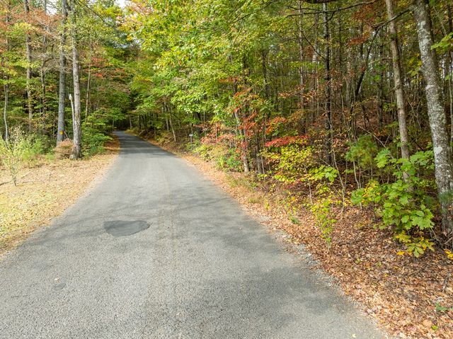 Lot 1 Chief Whitetails Road, Ellijay, GA 30540