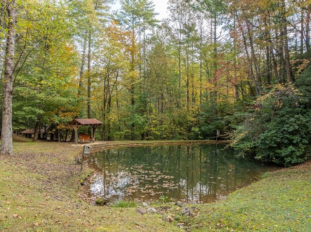 Lot 1 Chief Whitetails Road, Ellijay, GA 30540