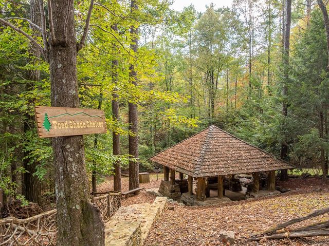 Lot 1 Chief Whitetails Road, Ellijay, GA 30540