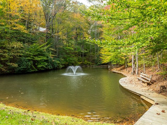 Lot 1 Chief Whitetails Road, Ellijay, GA 30540