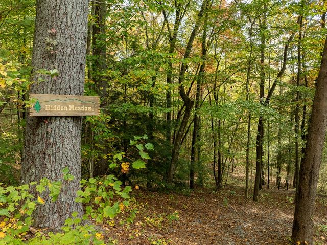 Lot 1 Chief Whitetails Road, Ellijay, GA 30540