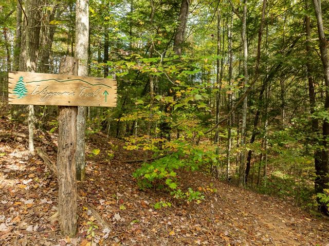 Lot 1 Chief Whitetails Road, Ellijay, GA 30540