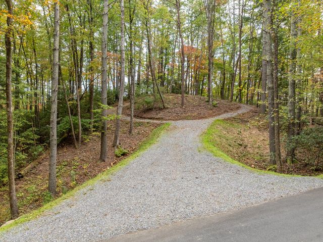 Lot 1 Chief Whitetails Road, Ellijay, GA 30540