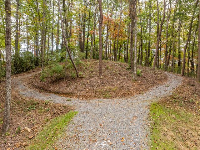 Lot 1 Chief Whitetails Road, Ellijay, GA 30540