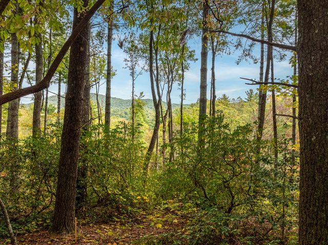 Lot 1 Chief Whitetails Road, Ellijay, GA 30540