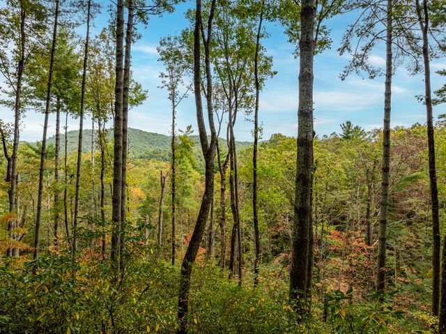 Lot 1 Chief Whitetails Road, Ellijay, GA 30540