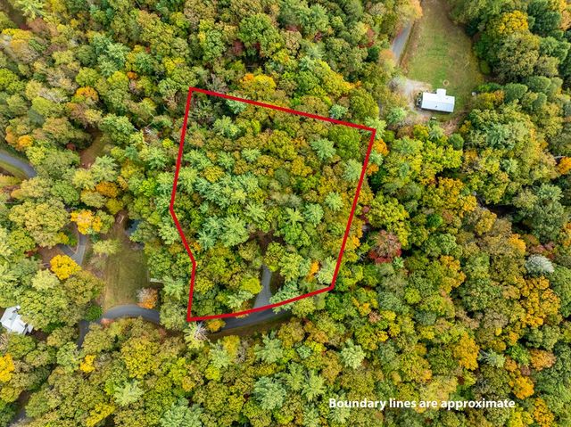 Lot 1 Chief Whitetails Road, Ellijay, GA 30540
