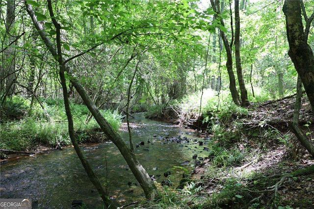 425 Chadwick Place, Canton, GA 30114