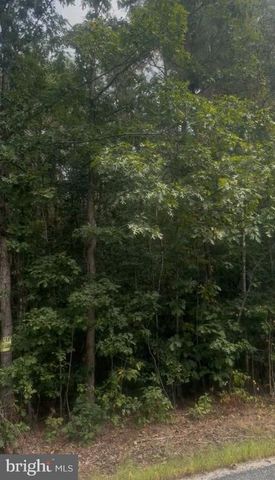 LOG CABIN, Beaverdam, VA 23015