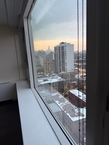 2728 N HAMPDEN Court 1704, Chicago, IL 60614