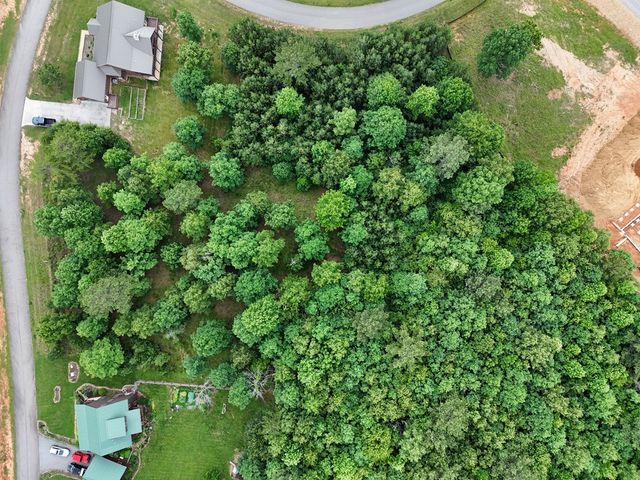 0 Village Loop, Blairsville, GA 30512