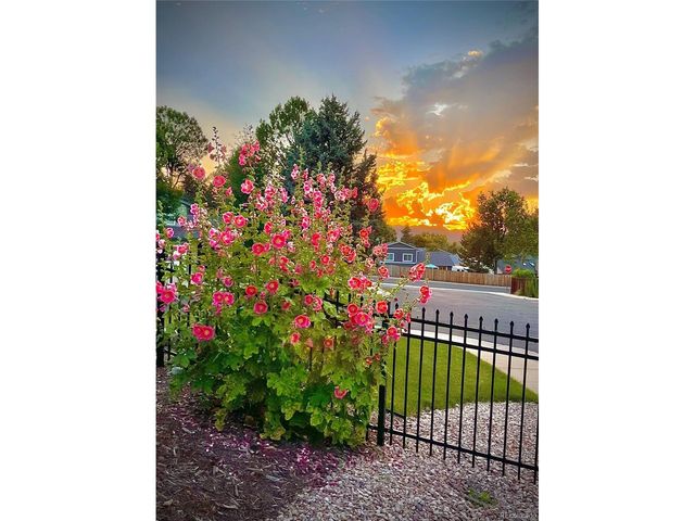 4368 W 111th Ave, Westminster, CO 80031