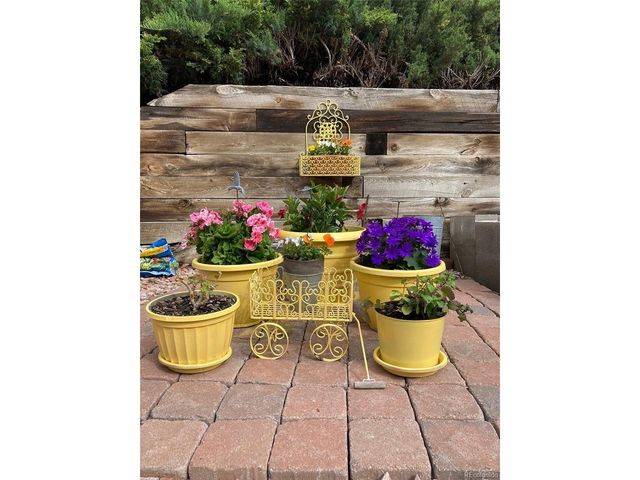 4368 W 111th Ave, Westminster, CO 80031