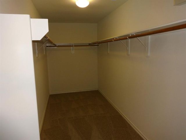 12003 Green Coral Drive, Houston, TX 77044