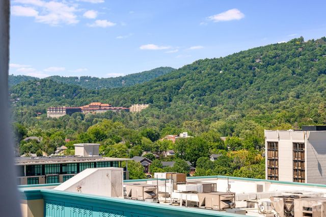 7 Patton Avenue 1006, Asheville, NC 28801