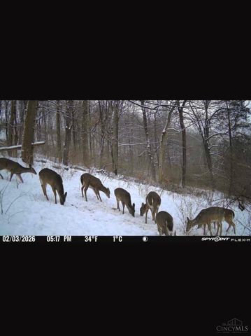 6551 Cleves Warsaw Pike, Delhi Twp, OH 45233