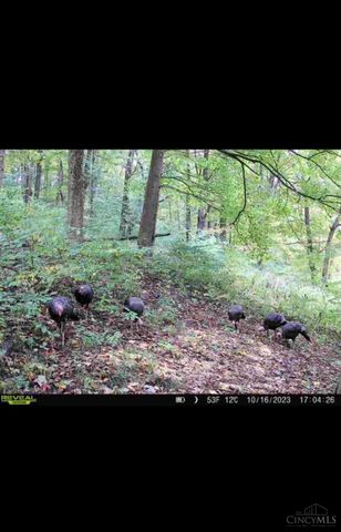 6551 Cleves Warsaw Pike, Delhi Twp, OH 45233