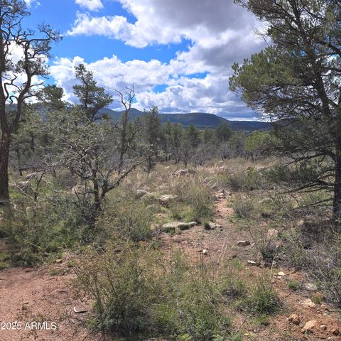 23 N IKE CLARK Parkway C1-C2, Young, AZ 85554