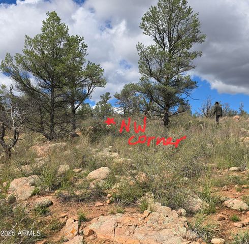 23 N IKE CLARK Parkway C1-C2, Young, AZ 85554