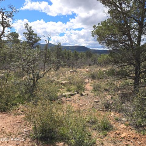 23 N IKE CLARK Parkway C1-C2, Young, AZ 85554