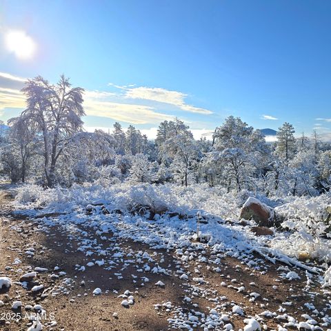 23 N IKE CLARK Parkway C1-C2, Young, AZ 85554