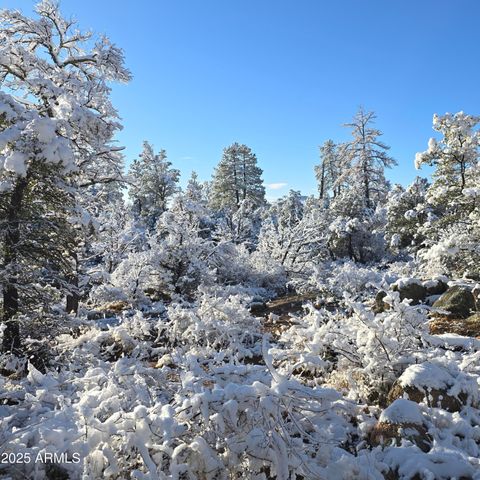 23 N IKE CLARK Parkway C1-C2, Young, AZ 85554