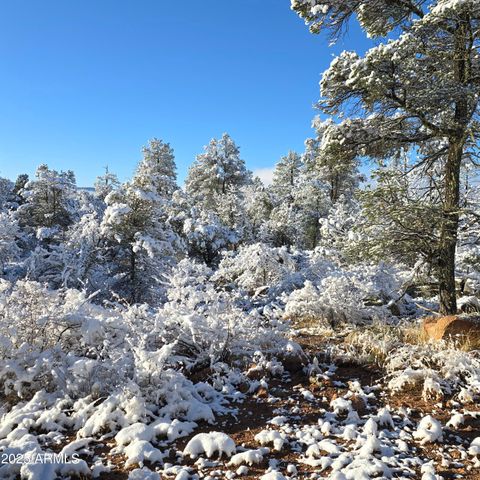 23 N IKE CLARK Parkway C1-C2, Young, AZ 85554