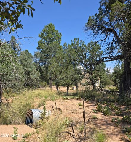 23 N IKE CLARK Parkway C1-C2, Young, AZ 85554