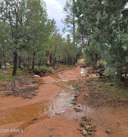 23 N IKE CLARK Parkway C1-C2, Young, AZ 85554