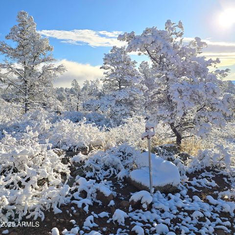 23 N IKE CLARK Parkway C1-C2, Young, AZ 85554