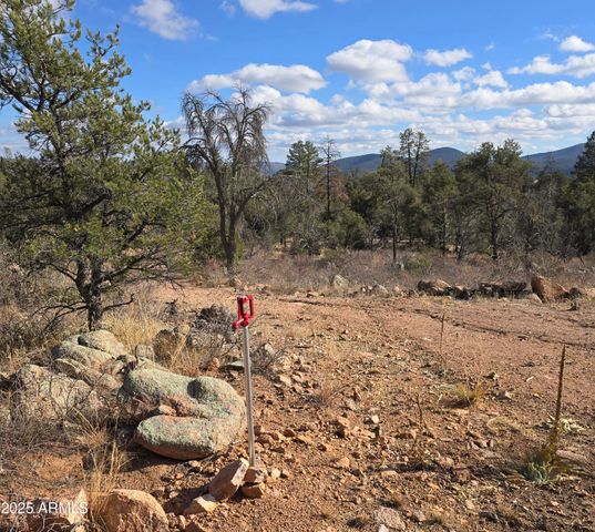 23 N IKE CLARK Parkway C1-C2, Young, AZ 85554