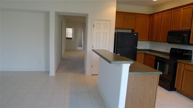 11164 GOLDEN SILENCE DRIVE, Riverview, FL 33579