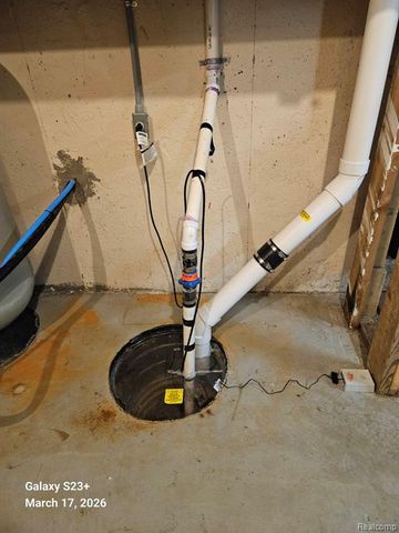 16180 Hill Forest Drive, Linden, MI 48451