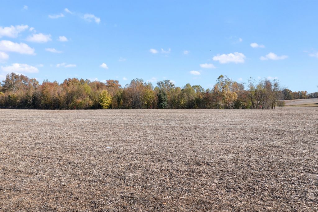 0 Hwy 431, N, Springfield, TN 37172