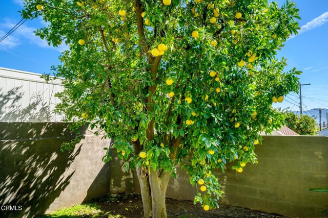 2444 N Parish Place, Burbank, CA 91504