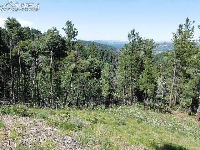 13670 Spruce Creek Circle, Larkspur, CO 80118