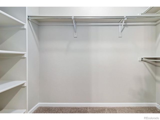2178 Cape Hatteras Drive 7, Windsor, CO 80550