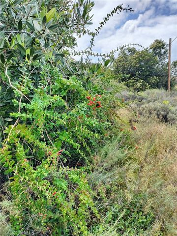 0 MABEY CANYON, Unincorporated, CA 92882