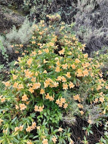 0 MABEY CANYON, Unincorporated, CA 92882