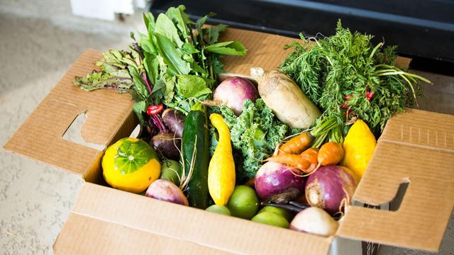 3310 Key Lime Drive, Richmond, TX 77406