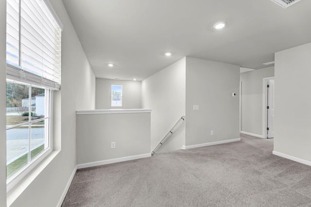 389 Matuskovic Drive, Charleston, SC 29414