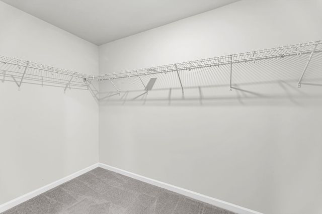 389 Matuskovic Drive, Charleston, SC 29414