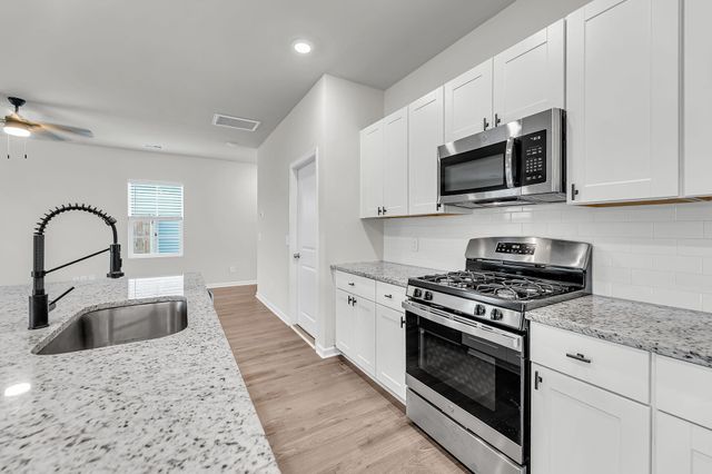 389 Matuskovic Drive, Charleston, SC 29414