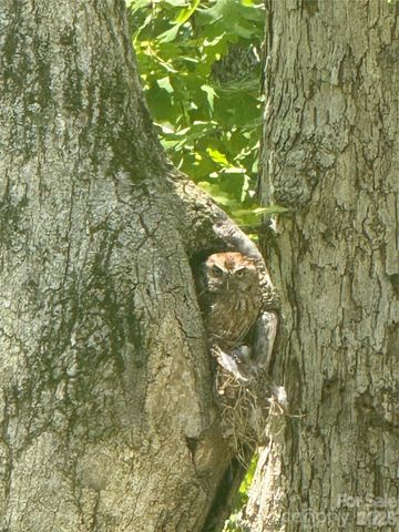 46 Carden Drive 10, Weaverville, NC 28787