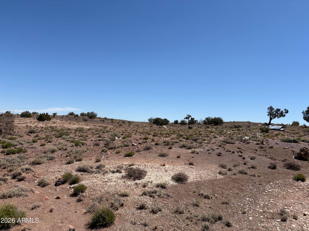Image 10 of property listing at 156 N9046 --, Concho, AZ 85924