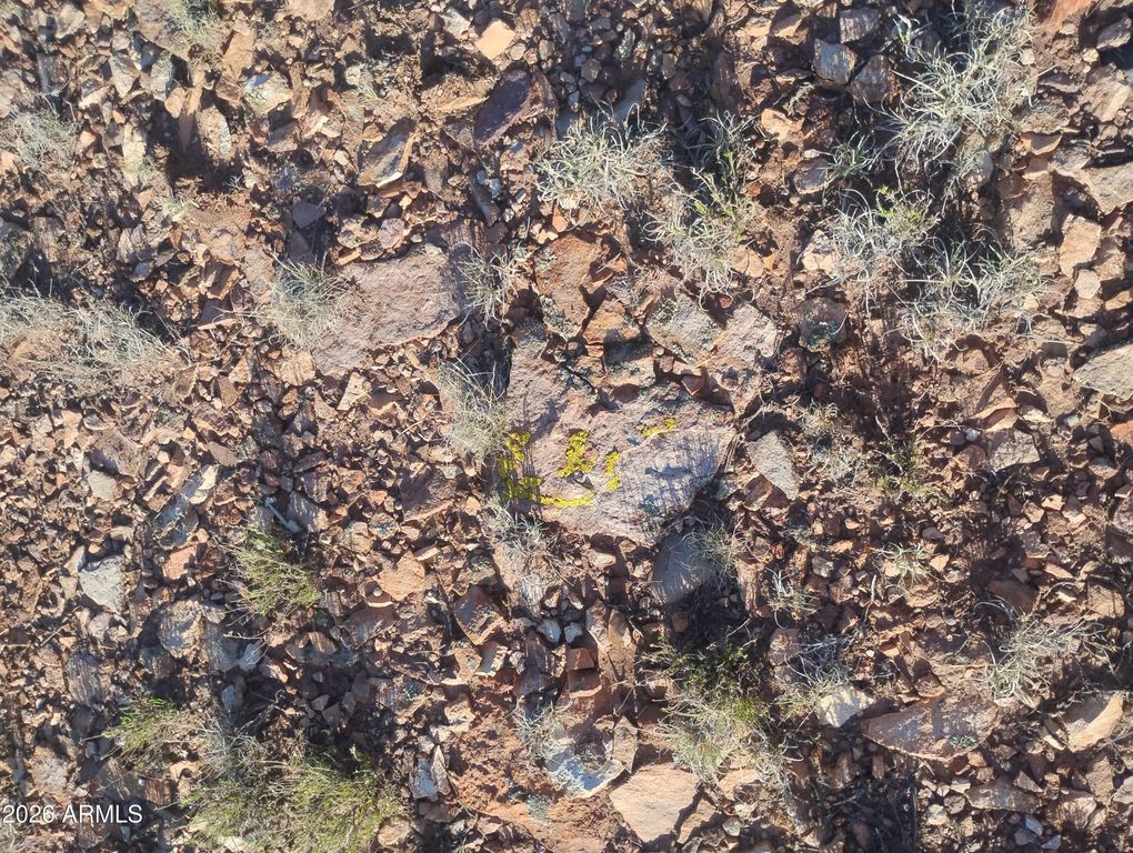 Image 20 of property listing at 156 N9046 --, Concho, AZ 85924