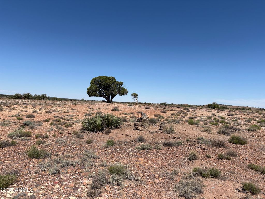 Image 8 of property listing at 156 N9046 --, Concho, AZ 85924