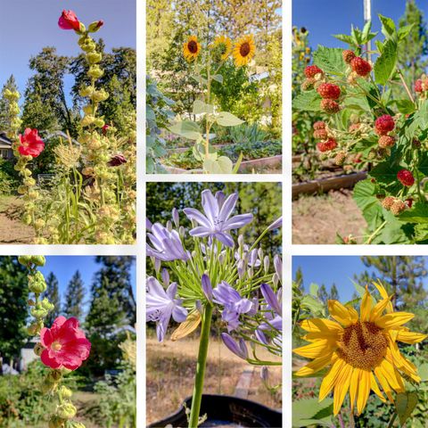 11823 Lost Ranch Way, Nevada City, CA 95959