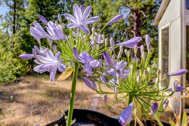 11823 Lost Ranch Way, Nevada City, CA 95959